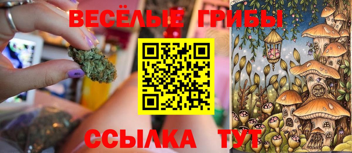 Галлюциногенные грибы Psilocybine cubensis  Галлюциногенные грибы Psilocybine cubensis  Вход с VPN  Острогожск 